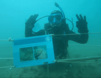 Los biotopos favorecen el equilibrio de la fauna marina y la regeneración de la vida en áreas degradadas (Anel.lides/PierNext).
