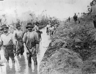 A los trabajadores europeos que participaron en la construcción del canal de Panamá se les pagaba bien, a 0,20 dólares la hora, y se ganaron la reputación de ser duros y constantes. Dormían en barracones menos abarrotados y disfrutaban de comedores especiales respecto a los trabajadores centroamericanos (CC).