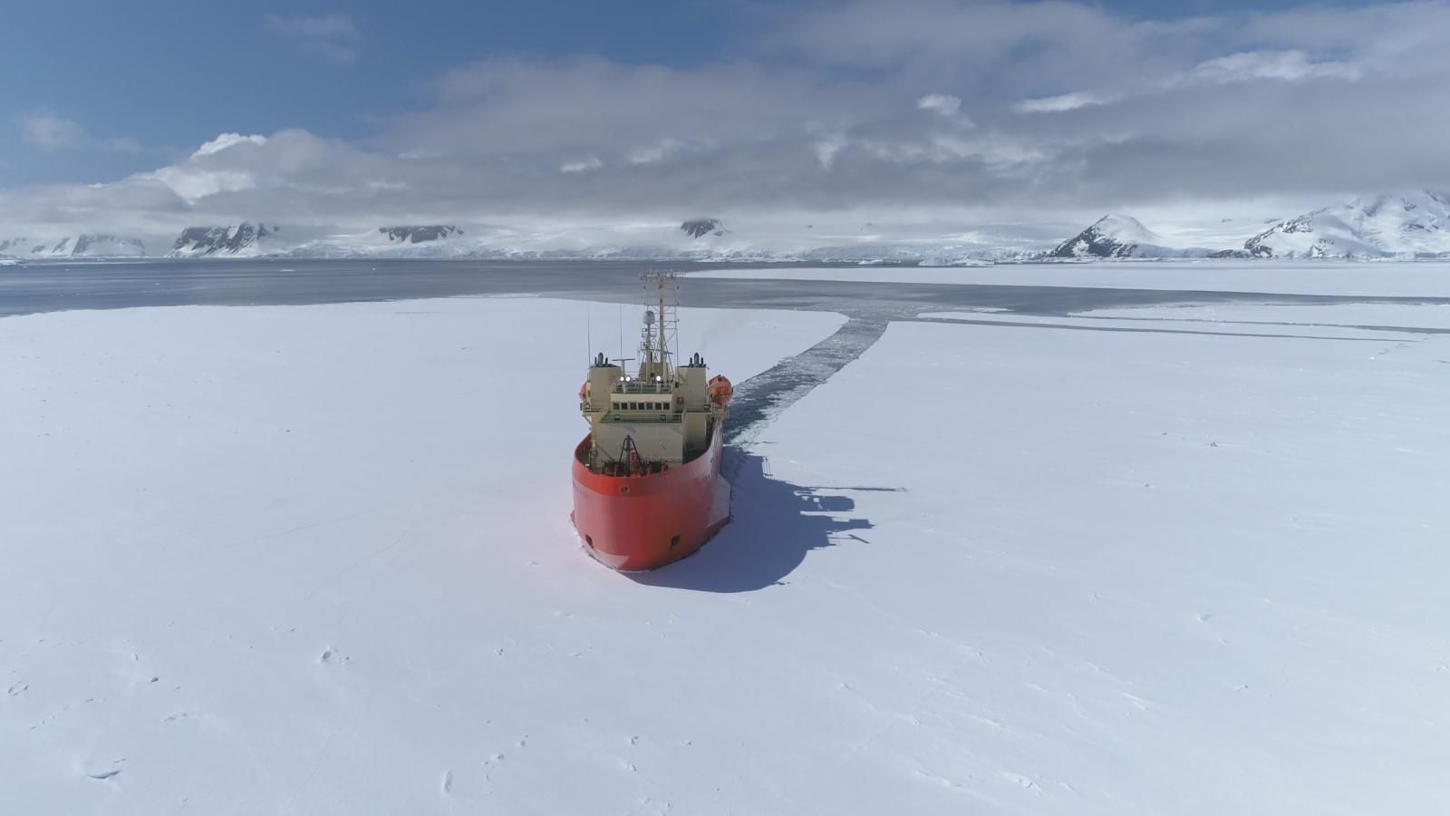 Aerial view of a red-hulled icebreaker on an expanse of sea ice, with the channel it has cut curving away behind it toward open water and snow-covered mountains on the horizon.