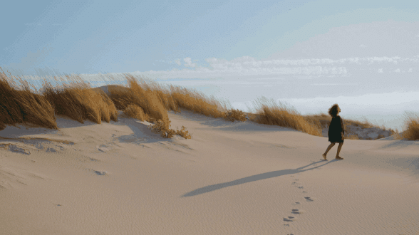 Después de que la tormenta 'Gloria' dejase un rastro de destrucción en la costa catalana en 2020, se pusieron en marcha proyectos para renaturalizar la costa y regenerar las dunas de las playas, algunos con el apoyo del proyecto europeo IMPETUS (FP).