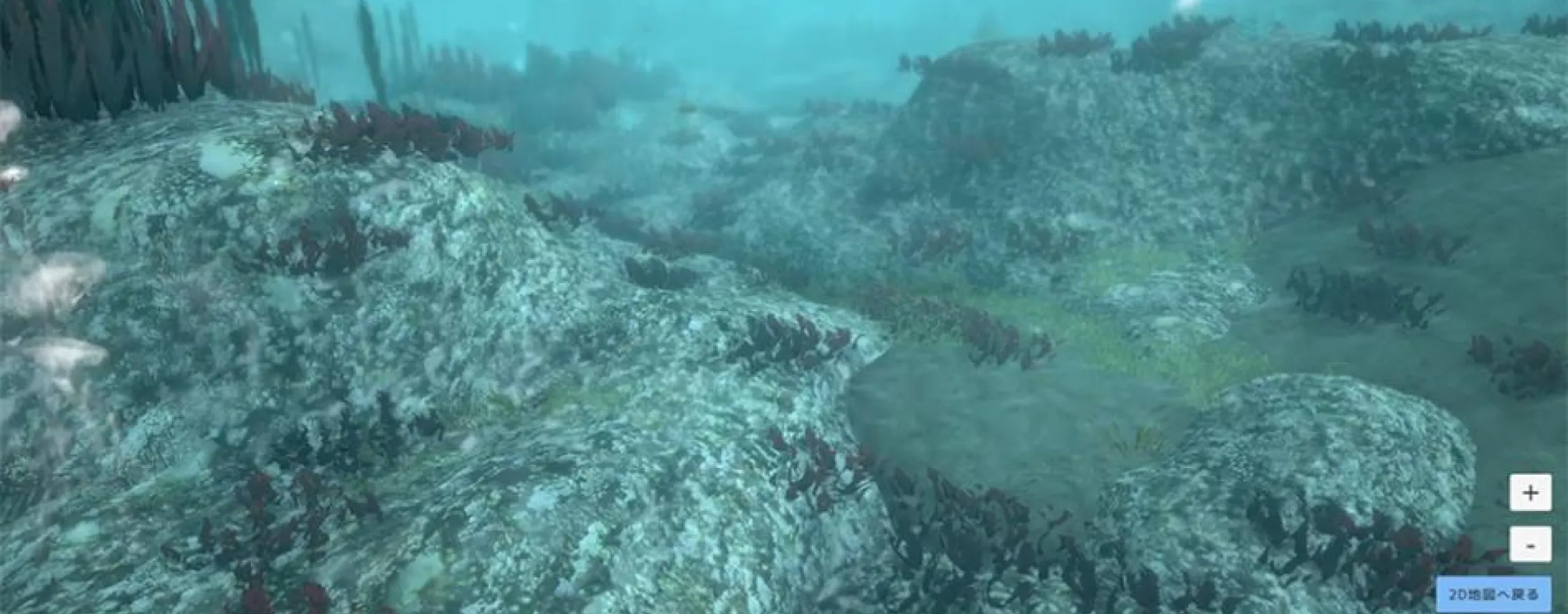 Visualización 3D del fondo marino reconstruido por el gemelo digital oceánico de Fujitsu, con distribución de algas.