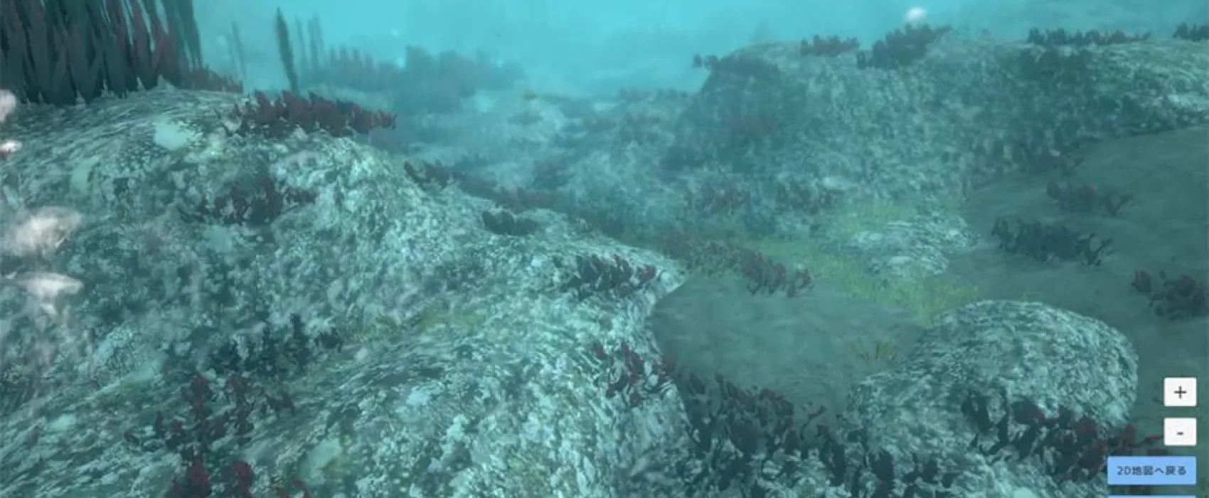 Visualización 3D del fondo marino reconstruido por el gemelo digital oceánico de Fujitsu, con distribución de algas.