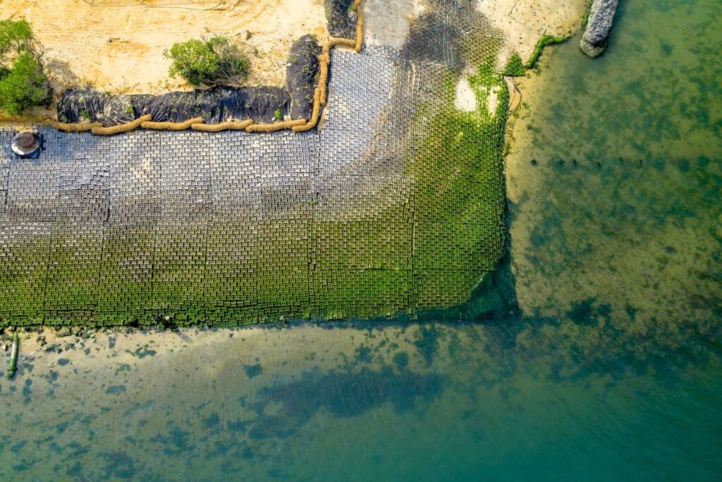 ECOncrete project on Shark River Island, New Jersey, to stabilise the shoreline and provide habitat for local species. (ECOncrete)