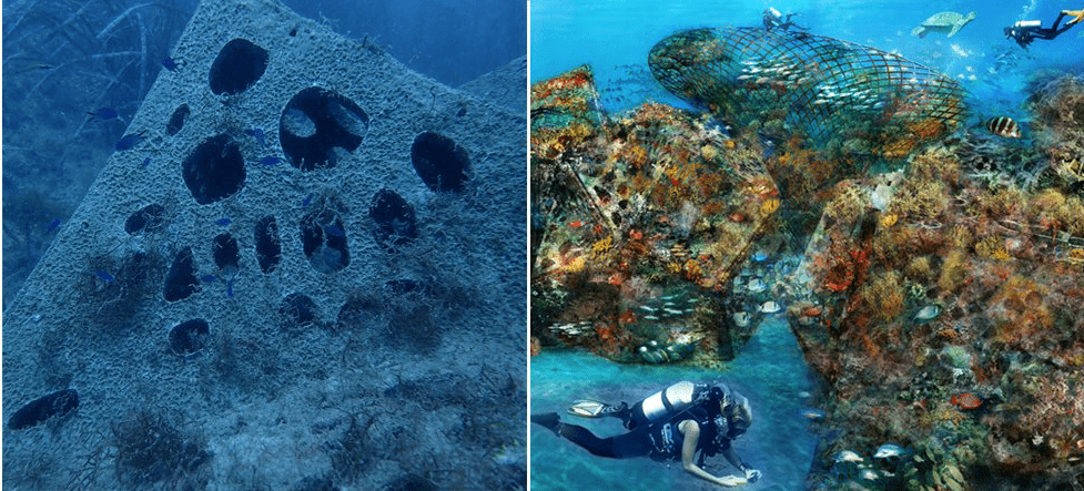 In addition to restoring habitat, Underwater Gardens aims to raise awareness on the importance of ocean health and promote tourist destinations. (Underwater Gardens)
