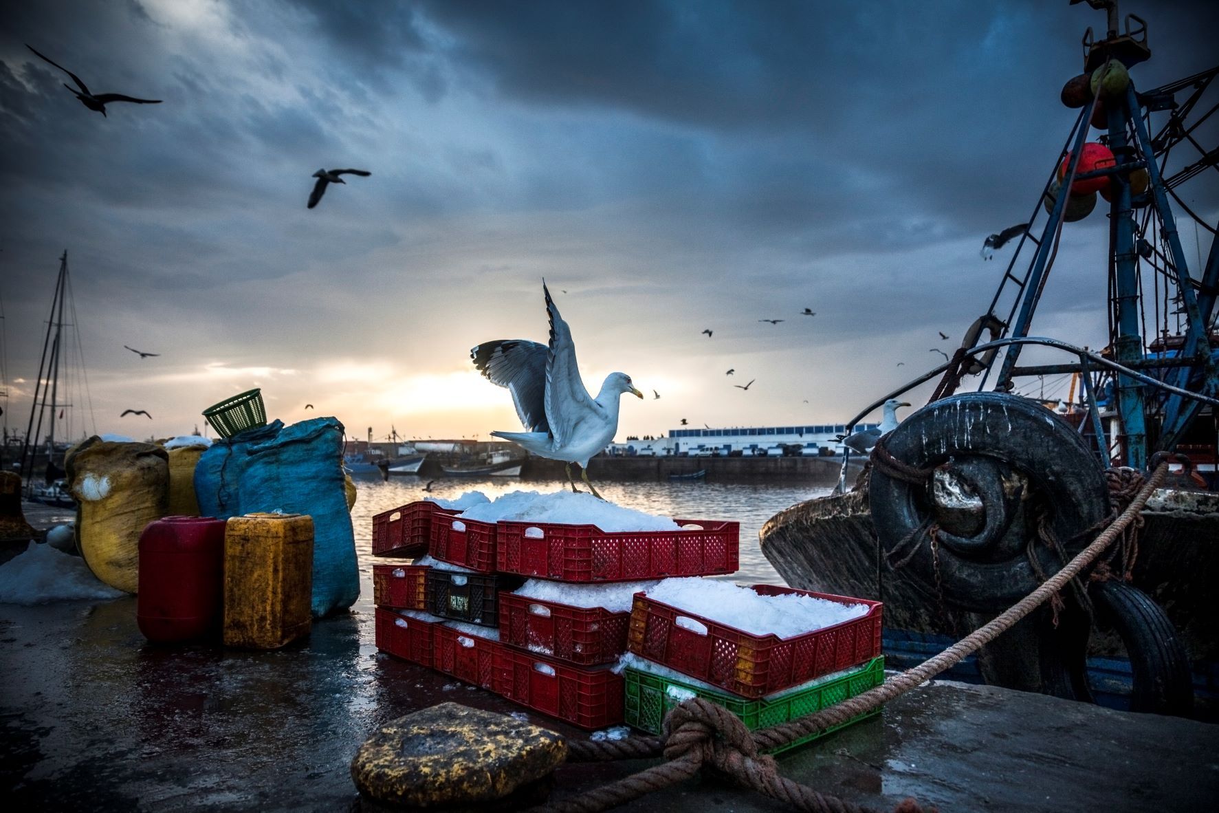 Los puertos y las lonjas son fundamentales para luchar contra la pesca ilegal. (GettyImages)