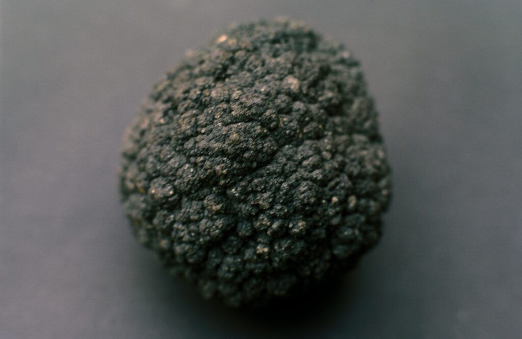 Manganese nodule, an example of a metal conglomerate found on the seafloor that could be key to obtaining materials sought by underwater mining. If the study that claims that they can also produce oxygen is confirmed, their importance would be even greater (CC).