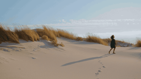 Després que la tempesta 'Gloria' deixés un rastre de destrucció a la costa catalana el 2020, es van posar en marxa projectes per renaturalitzar la costa i regenerar les dunes de les platges, alguns amb el suport del projecte europeu IMPETUS (FP).