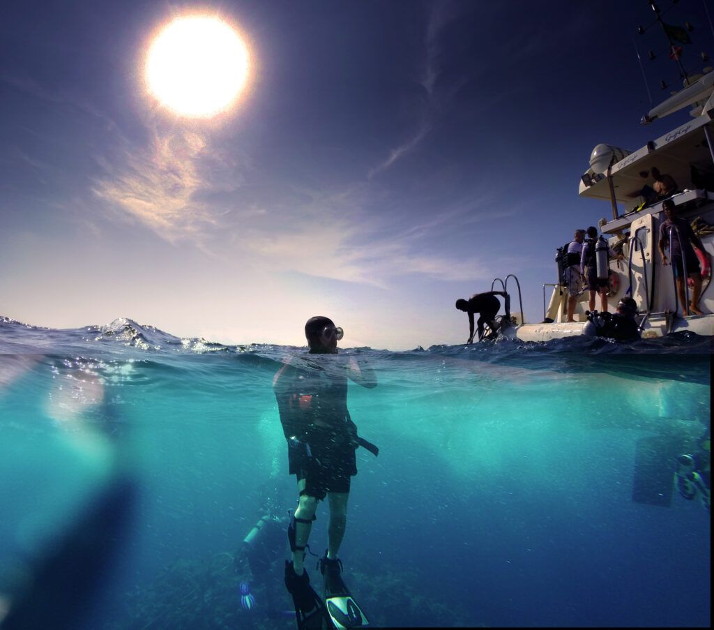 El Pacto Europeo impulsará la iniciativa de observación del océano y la creación de una réplica digital de los mares europeos, antes de 2030. Con este gemelo digital se pretende facilitar datos para la previsión meteorológica, además de estrategias de mitigación y facilitación de la adaptación al cambio climático (FP).