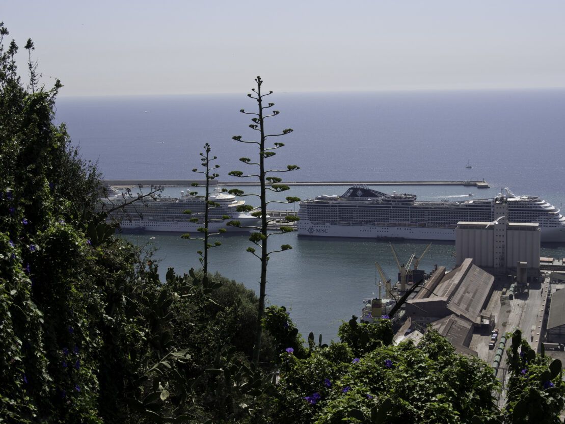 Vista de varios cruceros atracados en el muelle Adossat del Port de Barcelona, donde se están implementando sistemas de electrificación (OPS) y nuevas terminales sostenibles para reducir el impacto ambiental de la industria crucerística. (FP)